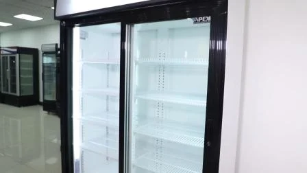 뜨거운 판매 슈퍼마켓 이중 미닫이 문 강직한 디스플레이 냉동 장비